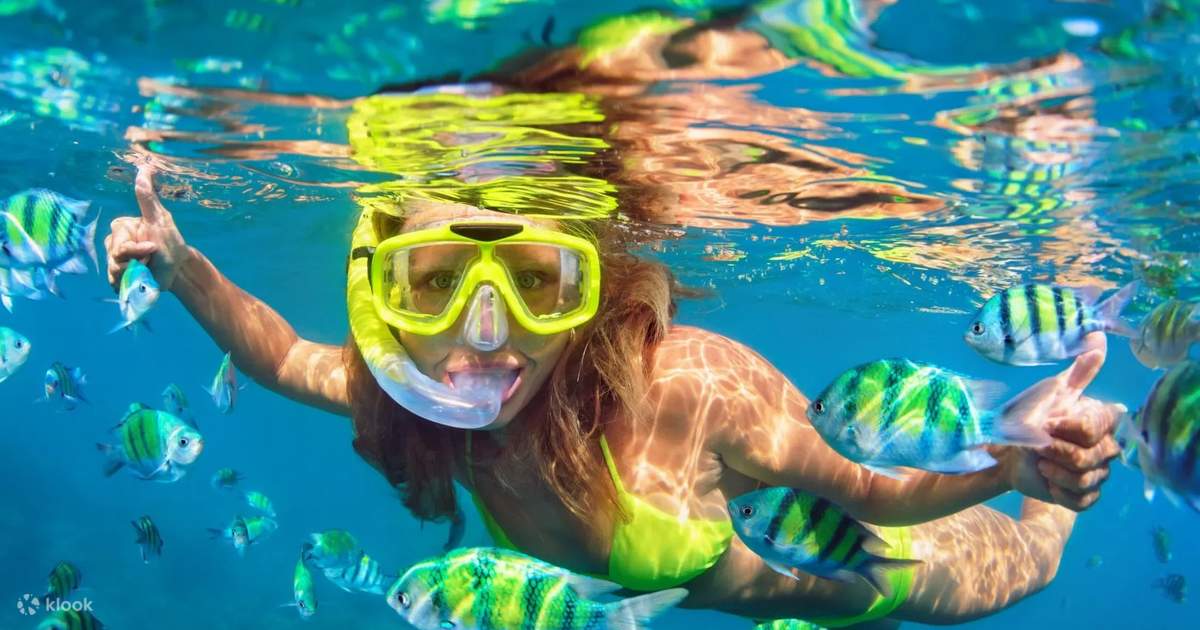 A snorkeler surrounded by reef fish