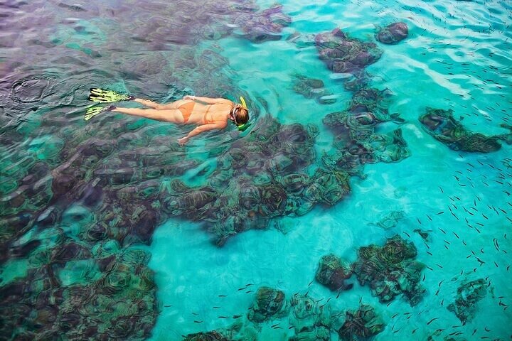 A snorkeler floating over turquoise coral gardens